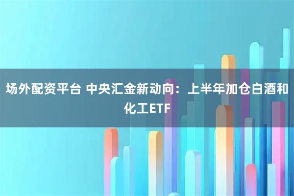 场外配资平台 中央汇金新动向：上半年加仓白酒和化工ETF