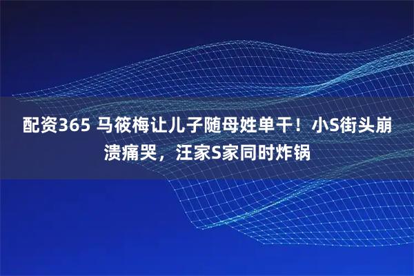 配资365 马筱梅让儿子随母姓单干！小S街头崩溃痛哭，汪家S家同时炸锅